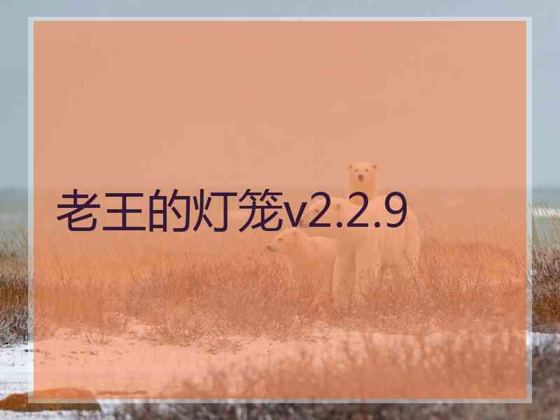 老王的灯笼v2.2.9