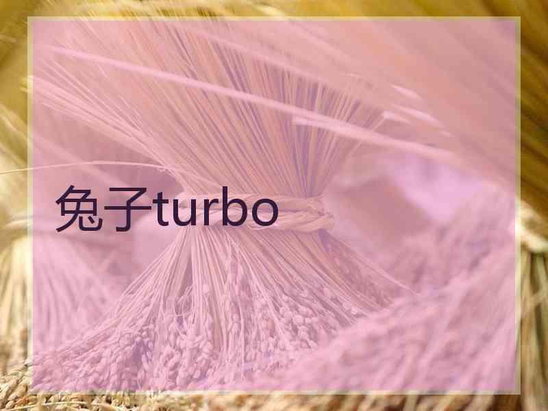 兔子turbo