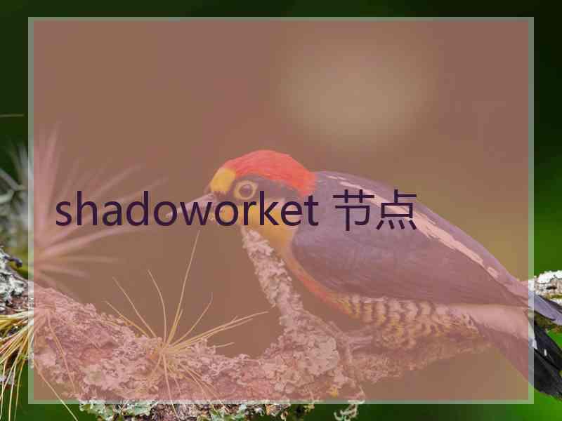 shadoworket 节点