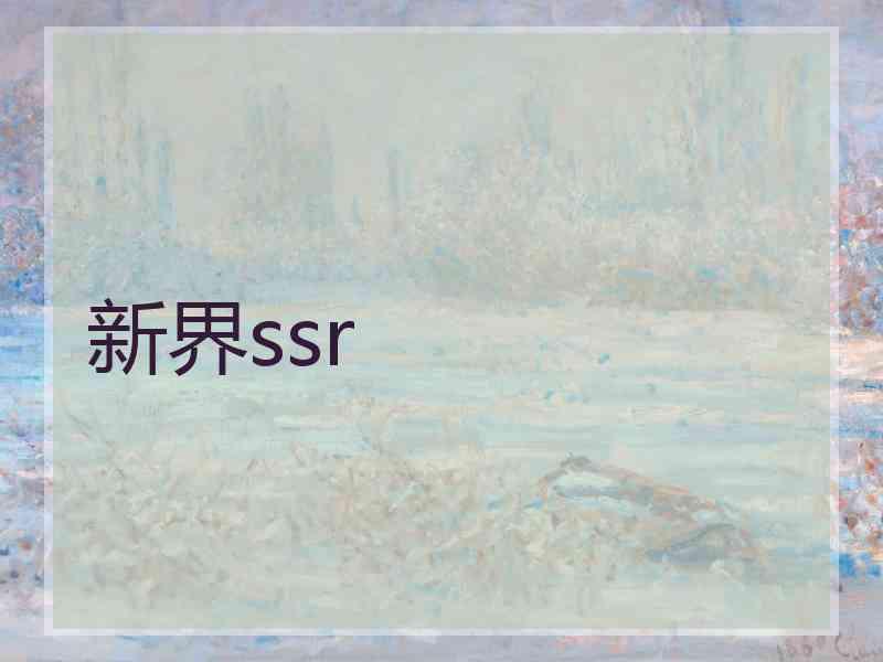 新界ssr