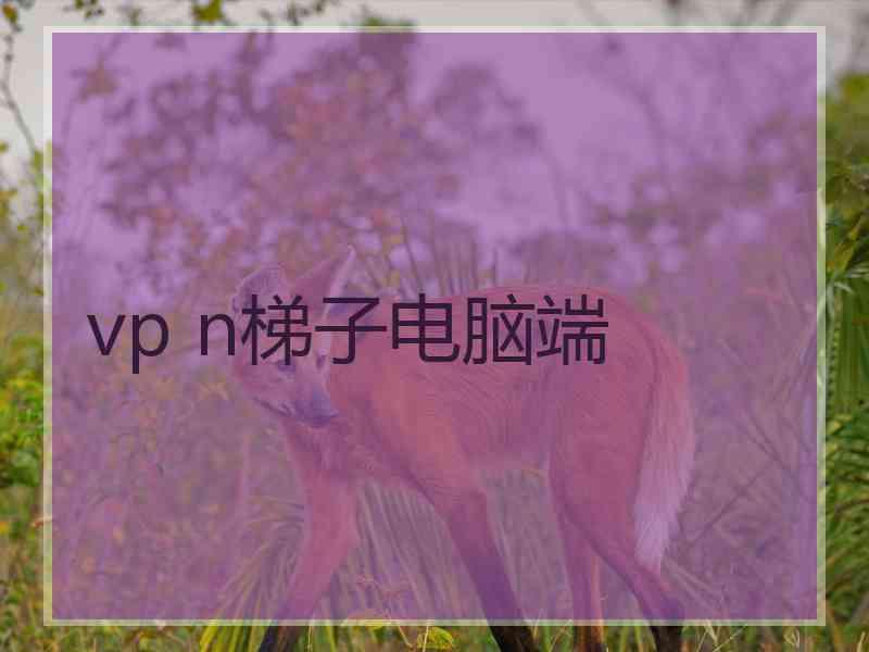 vp n梯子电脑端