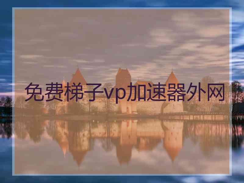 免费梯子vp加速器外网