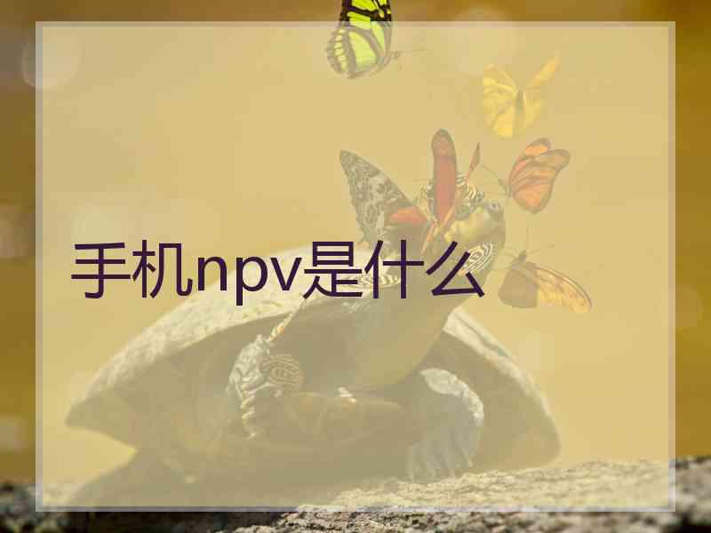 手机npv是什么