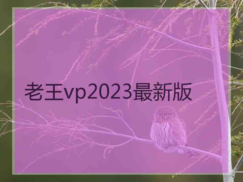 老王vp2023最新版