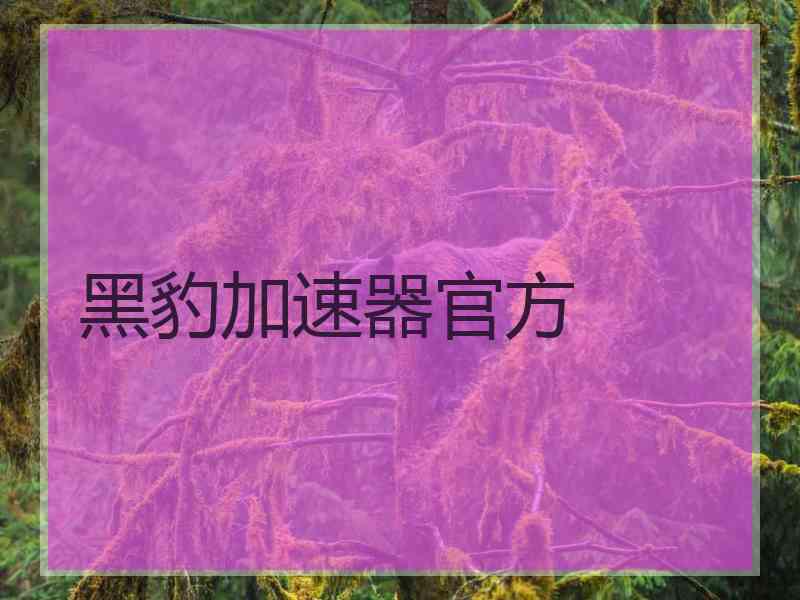 黑豹加速器官方