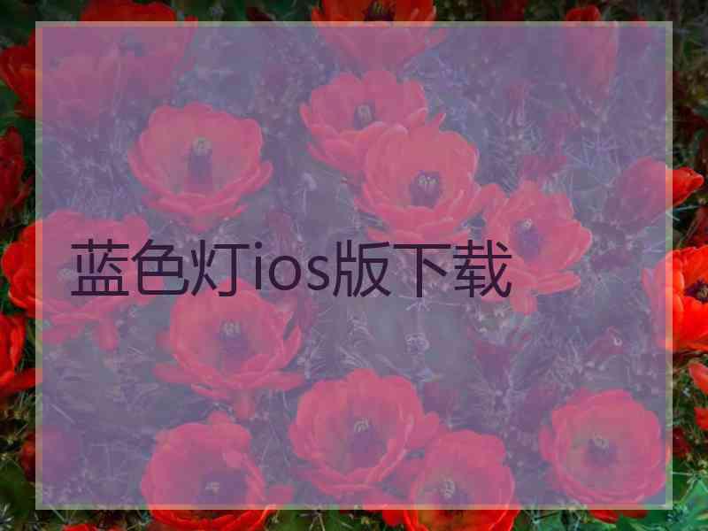 蓝色灯ios版下载