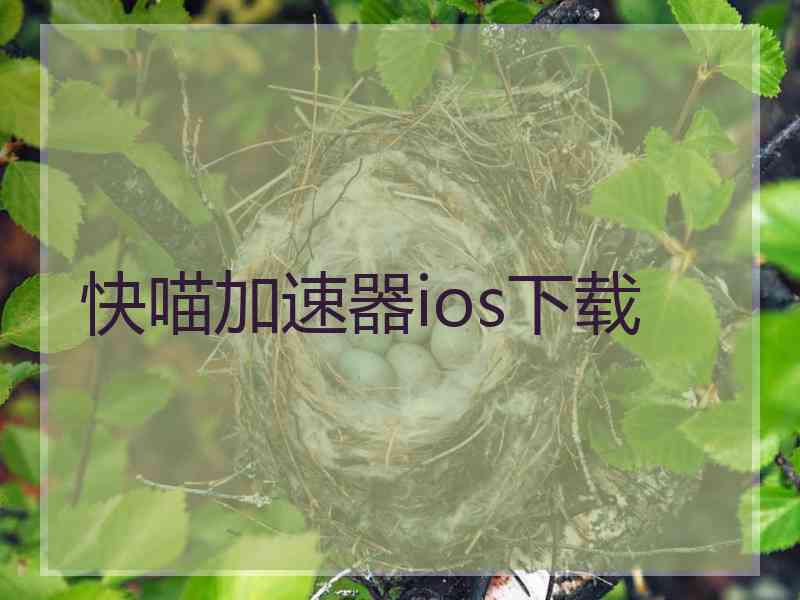 快喵加速器ios下载