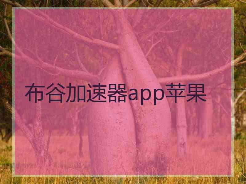 布谷加速器app苹果