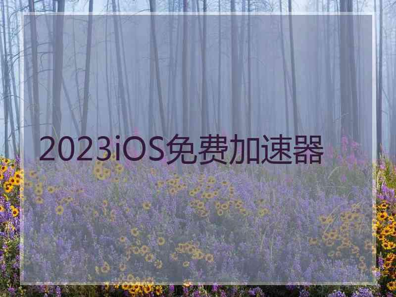 2023iOS免费加速器