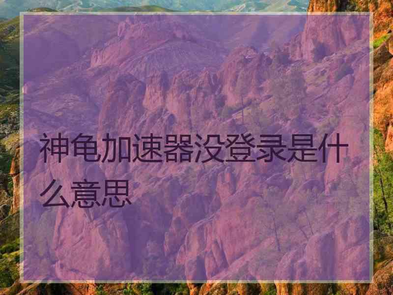 神龟加速器没登录是什么意思