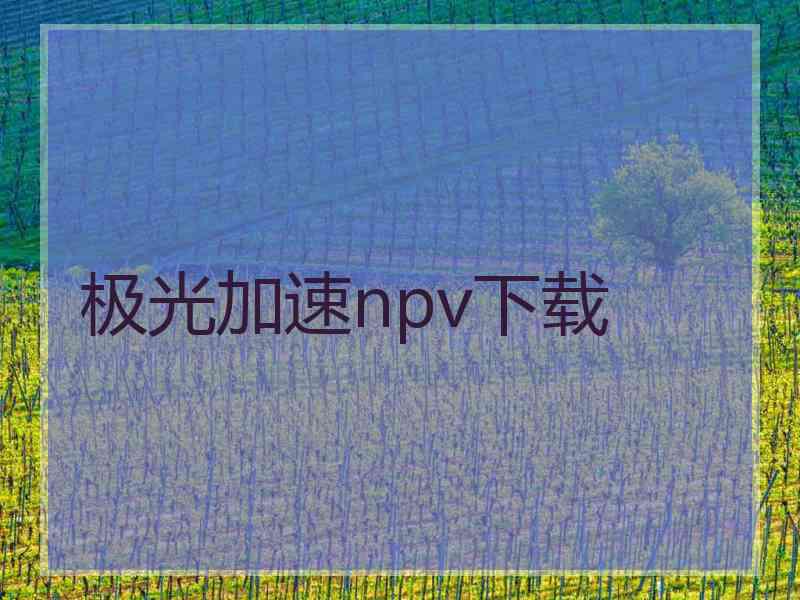 极光加速npv下载