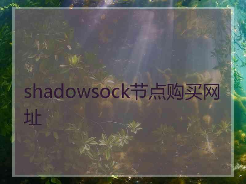 shadowsock节点购买网址