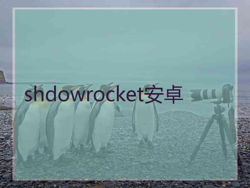 shdowrocket安卓