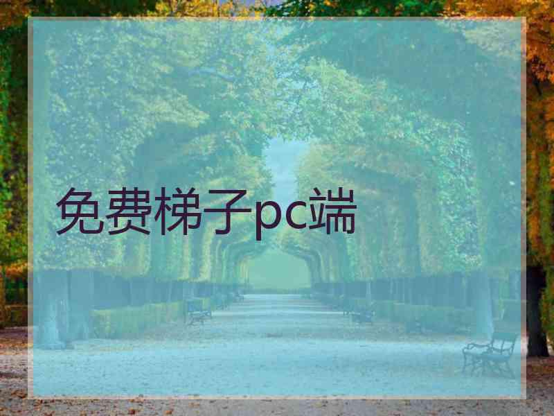 免费梯子pc端