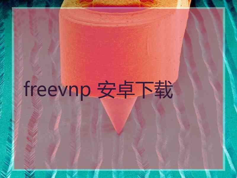 freevnp 安卓下载