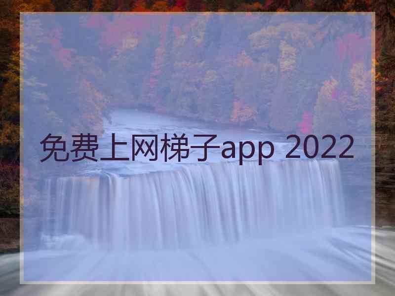 免费上网梯子app 2022