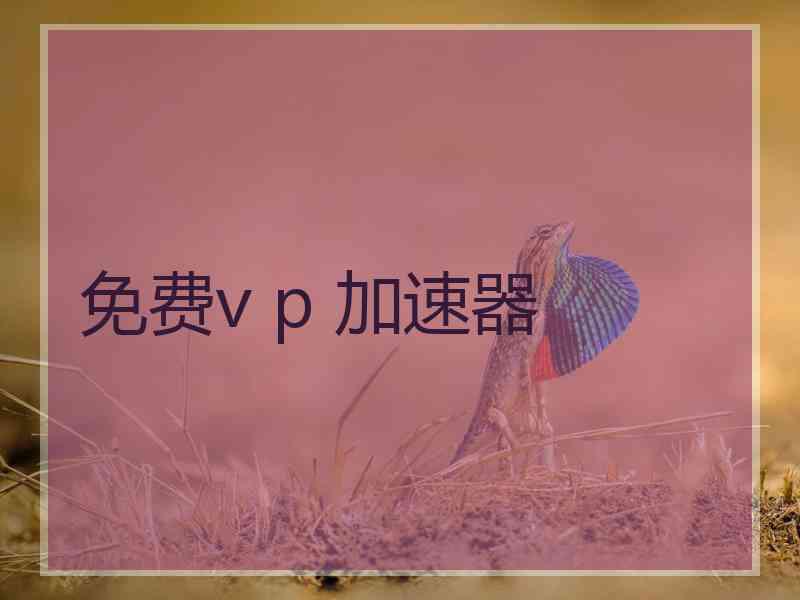 免费v p 加速器