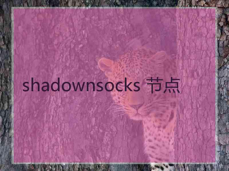 shadownsocks 节点