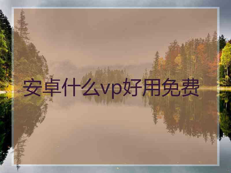 安卓什么vp好用免费