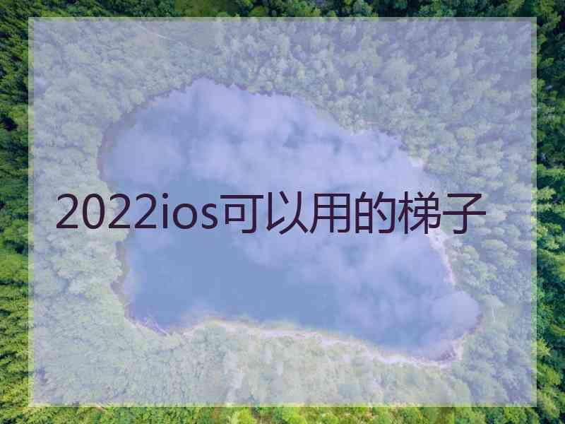 2022ios可以用的梯子