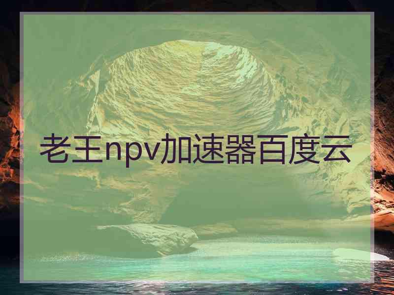 老王npv加速器百度云