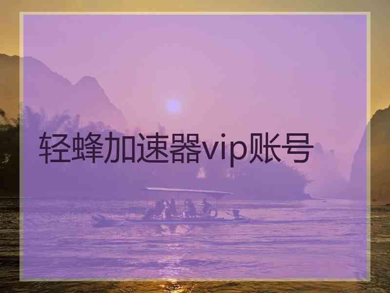 轻蜂加速器vip账号