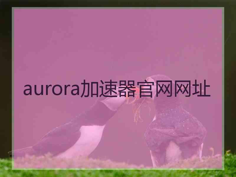 aurora加速器官网网址