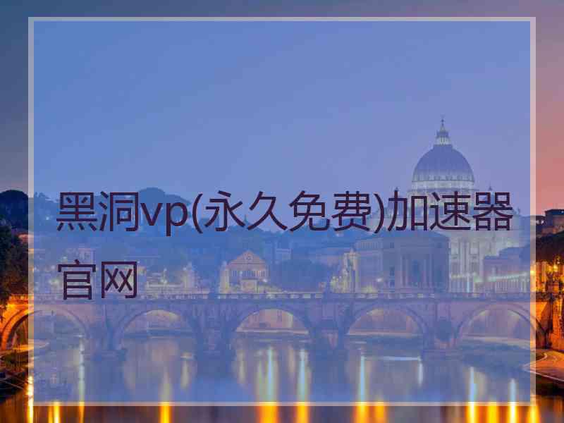 黑洞vp(永久免费)加速器官网