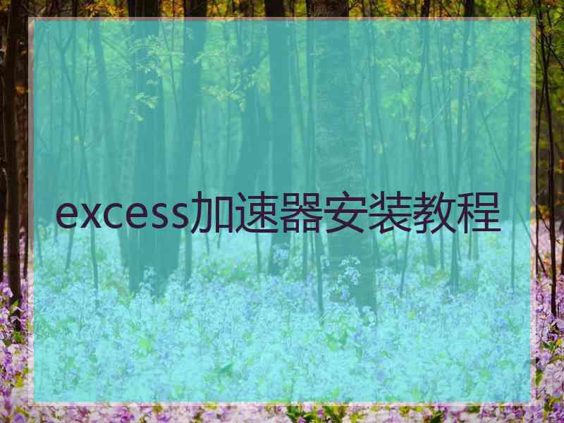 excess加速器安装教程