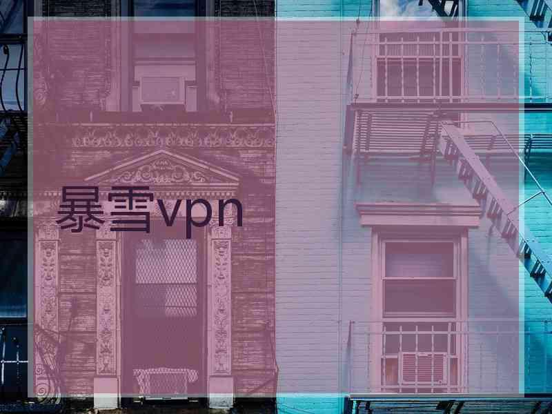 暴雪vpn