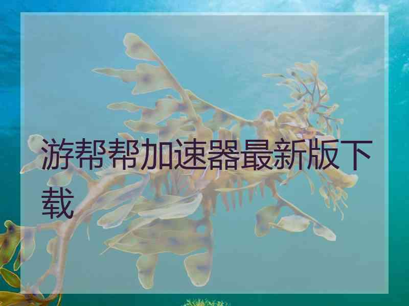 游帮帮加速器最新版下载