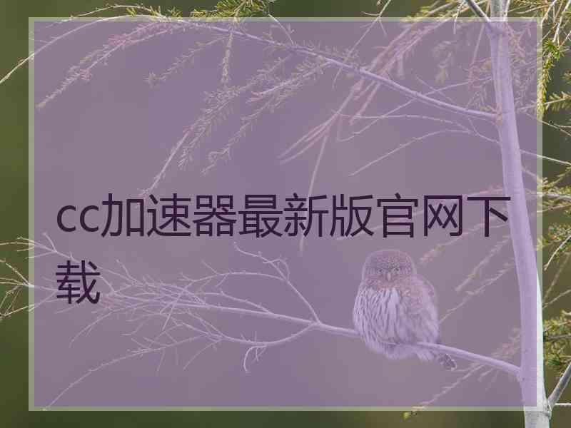 cc加速器最新版官网下载