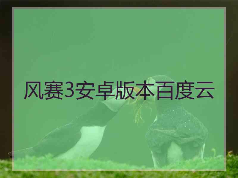 风赛3安卓版本百度云