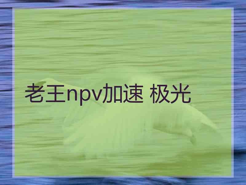 老王npv加速 极光