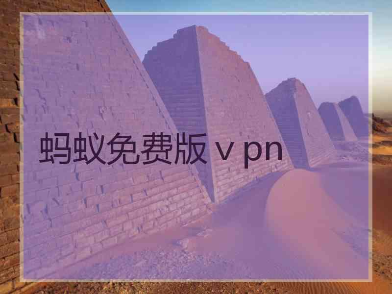 蚂蚁免费版ⅴpn