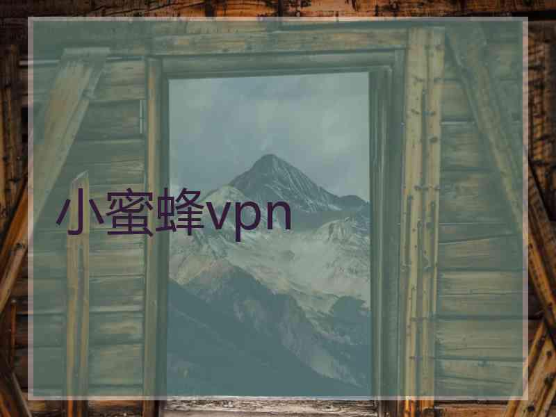 小蜜蜂vpn