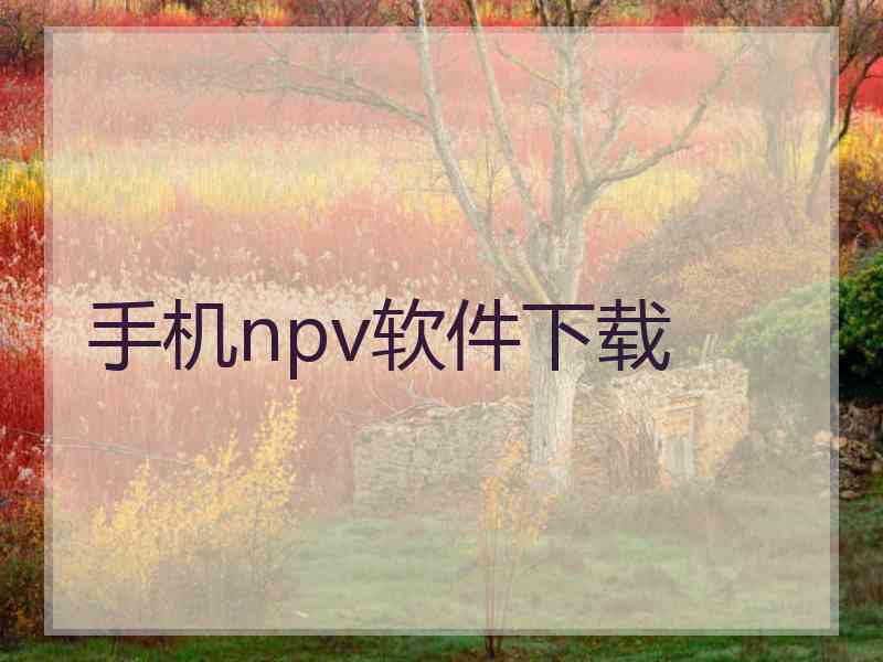 手机npv软件下载