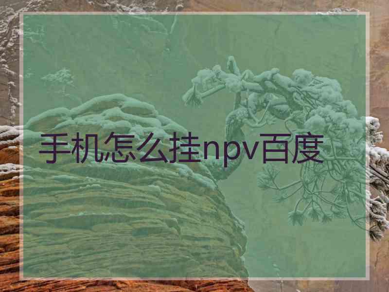 手机怎么挂npv百度