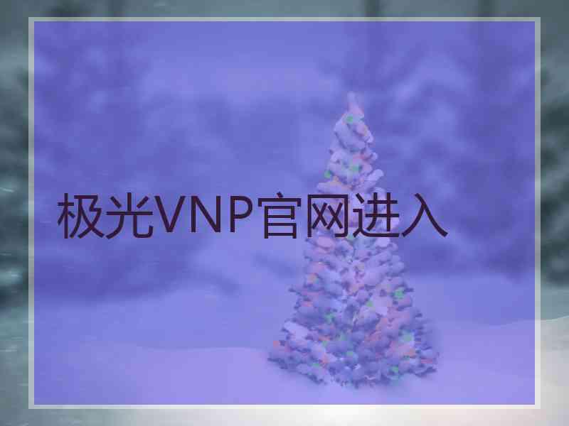 极光VNP官网进入