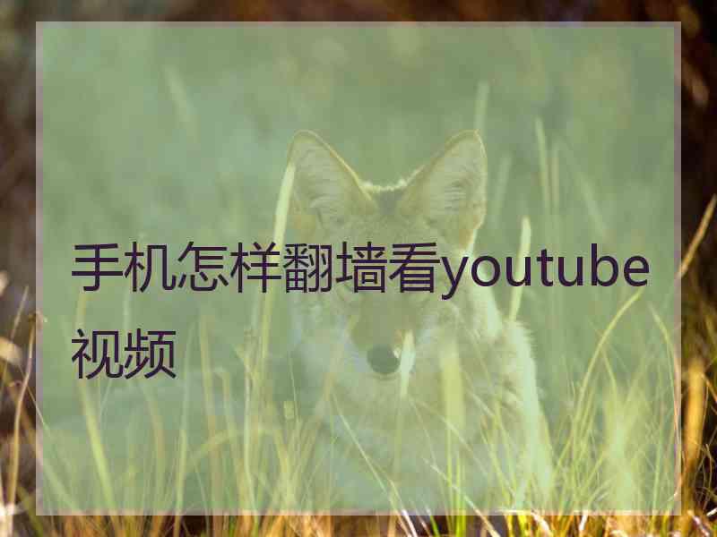 手机怎样翻墙看youtube视频