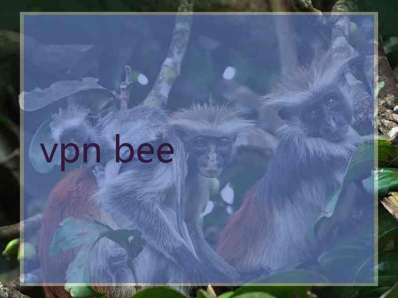 vpn bee