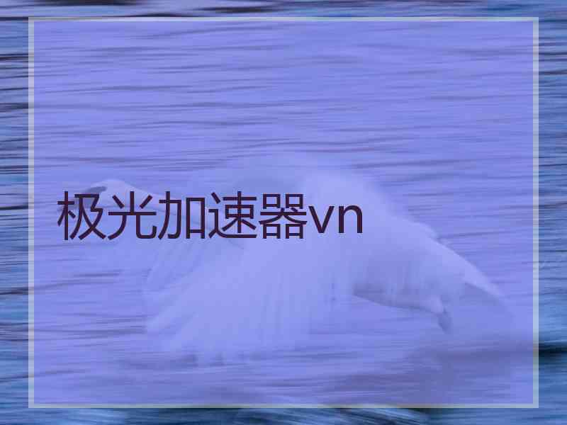 极光加速器vn