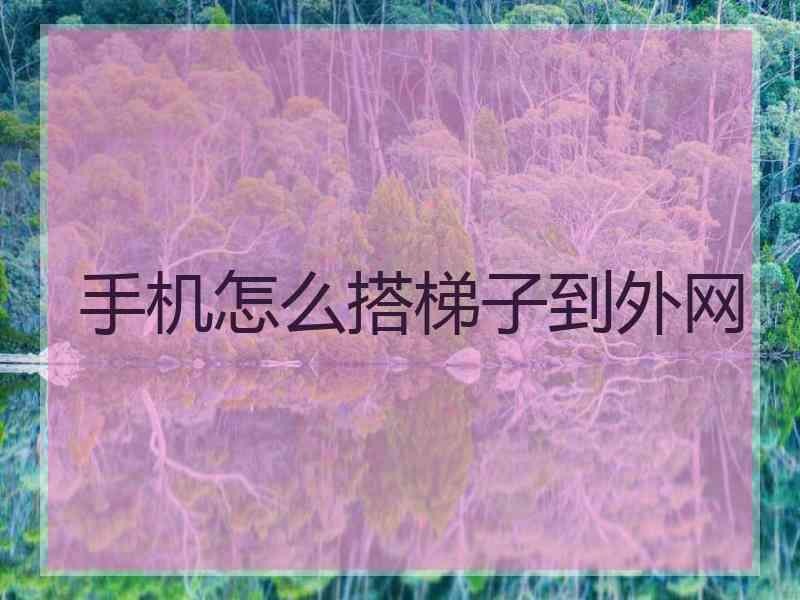 手机怎么搭梯子到外网