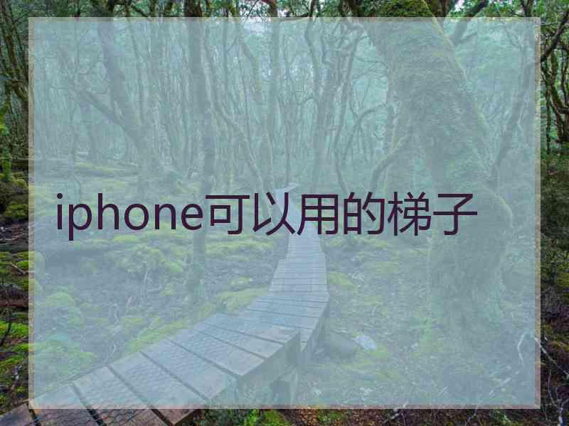 iphone可以用的梯子