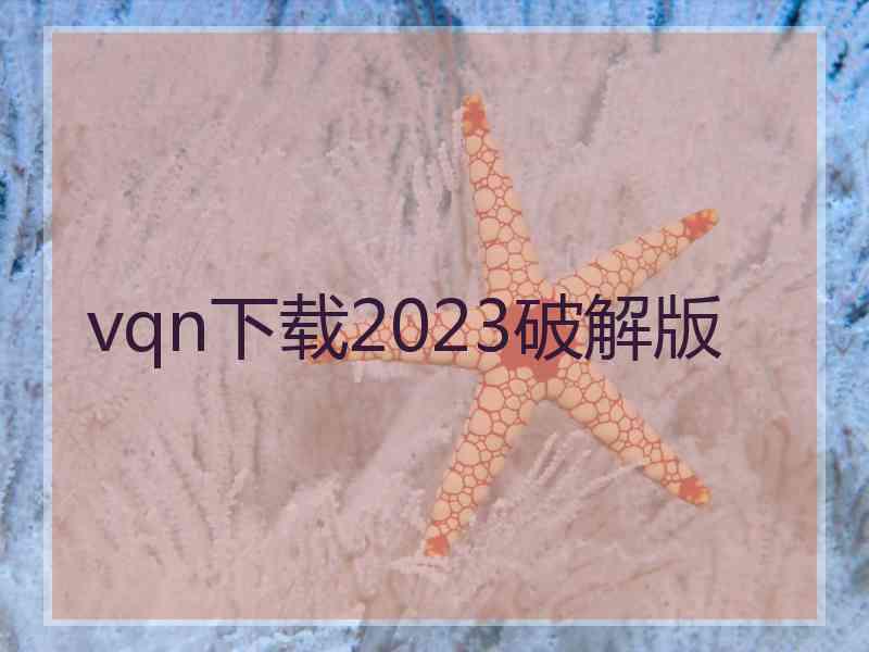 vqn下载2023破解版