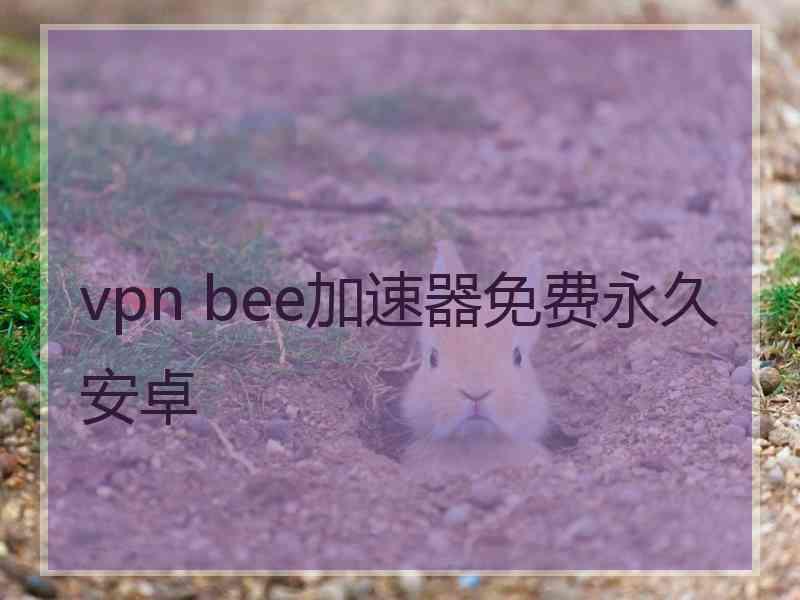 vpn bee加速器免费永久安卓