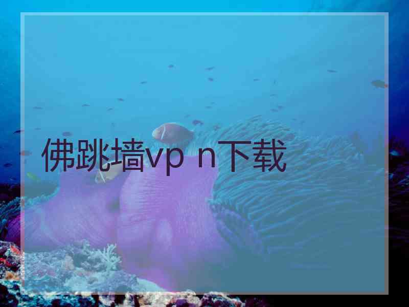 佛跳墙vp n下载