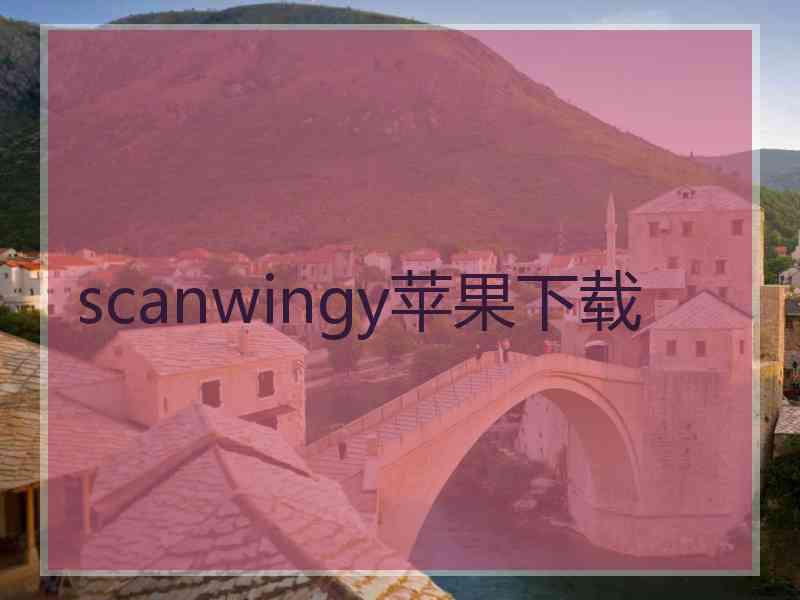 scanwingy苹果下载