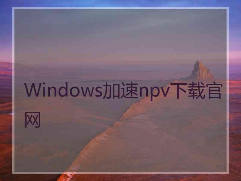 Windows加速npv下载官网