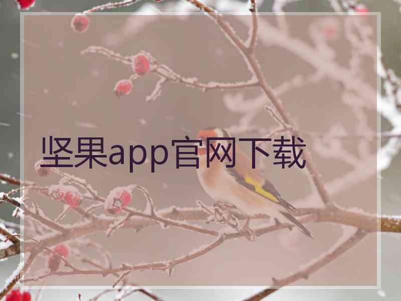 坚果app官网下载